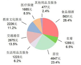 早教类APP 常青藤 PAPA 产品分析