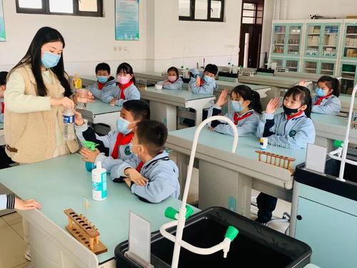 石家庄市裕东小学教育集团开展植树节实践活动