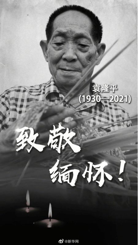 德安县教育系统沉痛哀悼袁隆平院士逝世