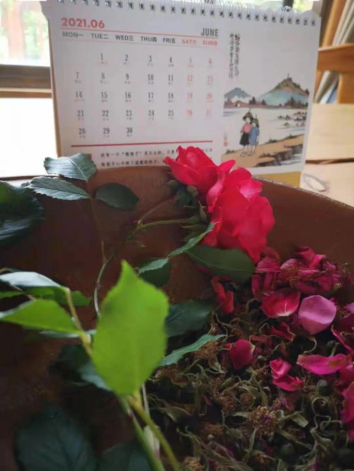 修剪有感侃教育